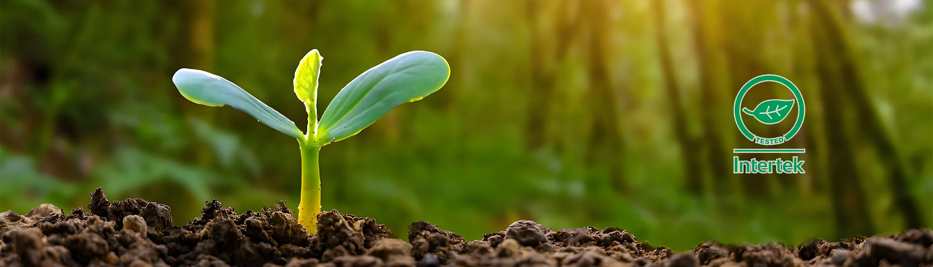 Our Bio-degradation Sunscreen Fabric